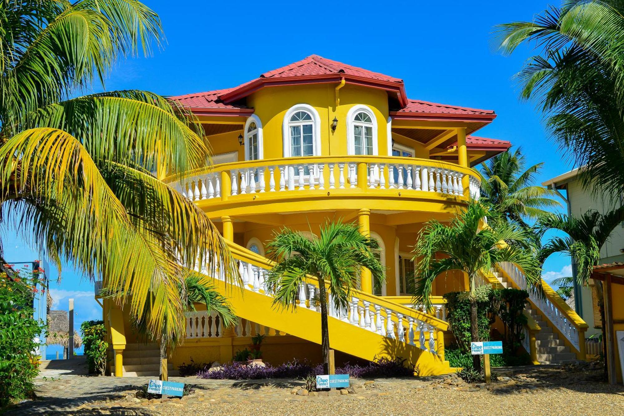 Blue Parrot Beach House And Villas Hopkins Bagian luar foto
